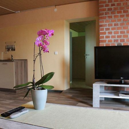Ferienwohnung Im Gruenen Diesbar-Seusslitz Exterior foto